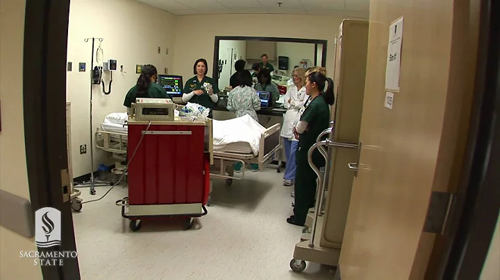 20110303_NursingSims_HD.mpeg