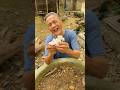 Chôn hình săm #funny #shorts