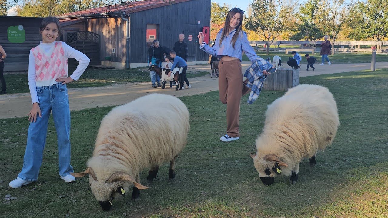 Most Beautiful Places In the World | From France & Switzerland to Thailand & Beyond!  day4