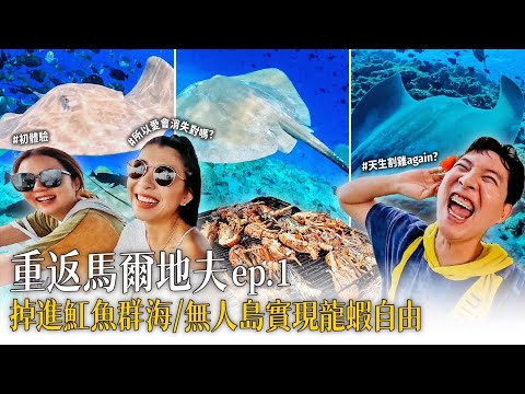 馬爾地夫我們又來了！一下海就「魟魚震撼」！無人島上龍蝦自由！【重返馬爾地夫ep.1】