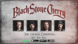 Watch Black Stone Cherry Live This Way video