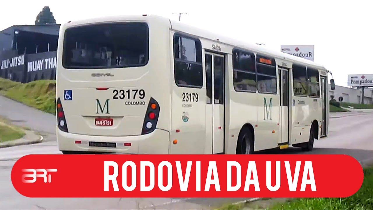 #2 | Movimentação de Ônibus | Rodovia da Uva