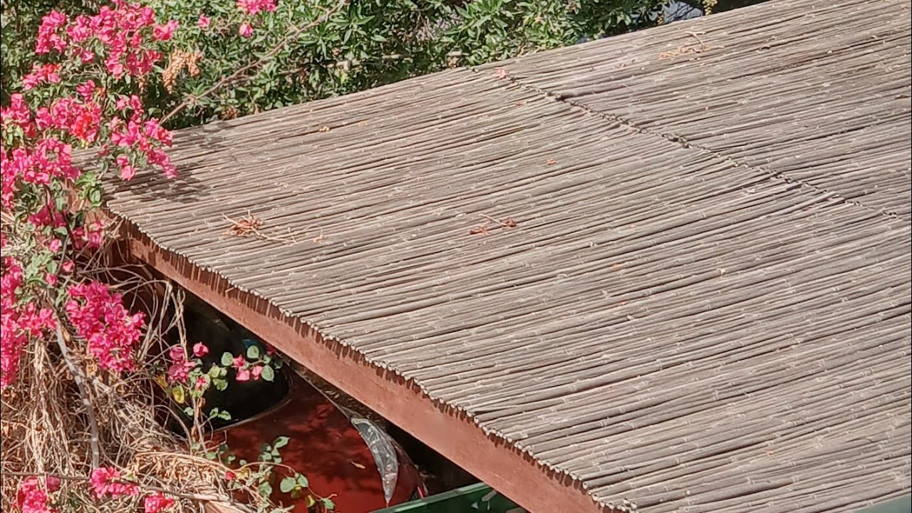 ተመልሼ መጣሁ☕☕👍👍👈