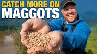 Catch More On Maggots With These TOP TIPS!