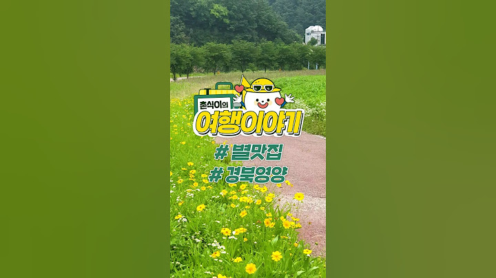 나랑 별 보러 가지 않을래❤🎵촌식이 Pick✔ 밤하늘 명소를 소개합니다💌 #경북영양 #별맛집 #경북여행 #웰촌