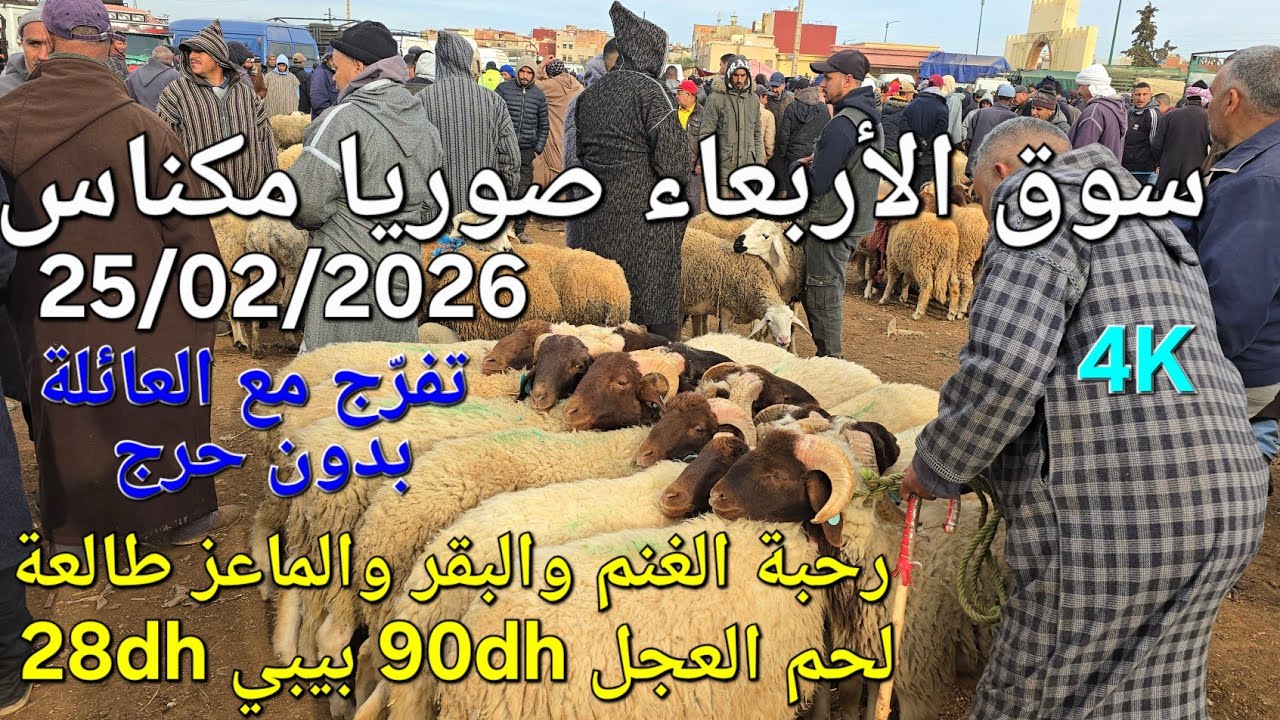 أثمنة الغنم والبقر واللحوم والخضر سوق الأربعاء صوريا مكناس اليوم 25/02/2026