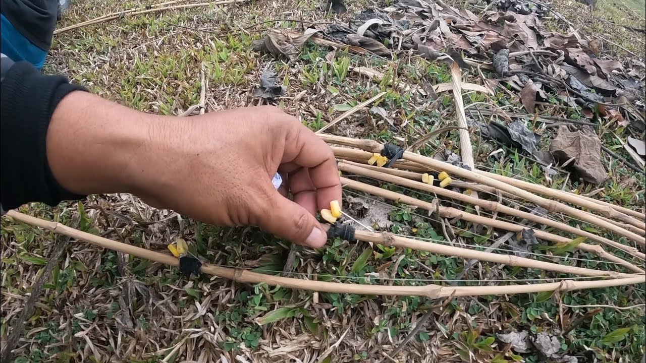 Sinubukan naming mais aming pain sa kawil (s-0) Buhay probinsya