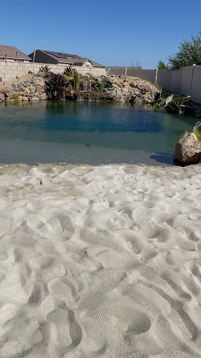 Build me a Beach in my Backyard ☀️ #landscapedesign #naturalpool #swimmingpool