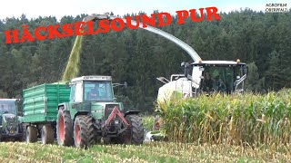 Jaguar auf Hektarjagd | Sound | Maisernte mit Claas Jaguar 970 | LU Winderl | Fendt Farmer 312 LSA