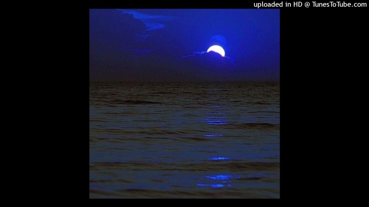 fakemink cranes type beat - 