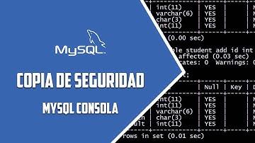 MySQL Consola - Copia de seguridad bases de datos - Video 75