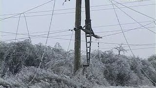 Город Южный Одесской области парализован из-за непогоды