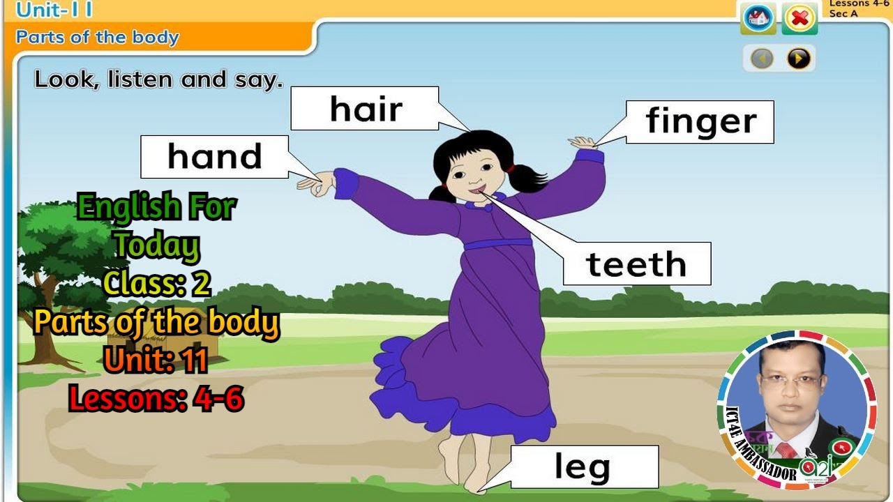 English For Today Class 2 Parts of the body Unit 11 Lessons 4 6 - YouTube