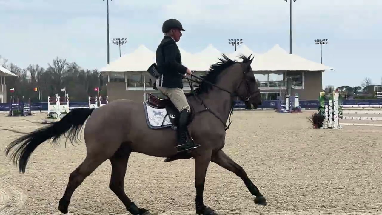 Opium PL - 6 ans csi yh - st tropez