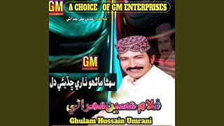 Main Khud Aap Hal Vesan
