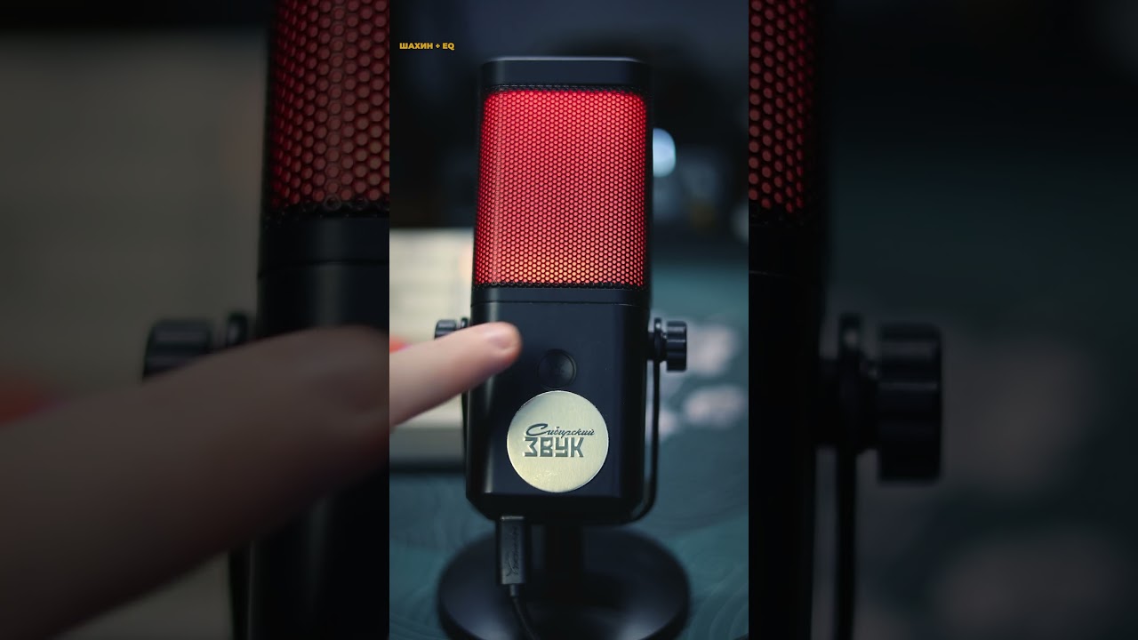 Вот на что способен USB микрофон!