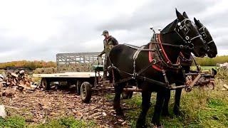 Making a New Wagon & Trying it out!! // Taking Firewood to the Cabin