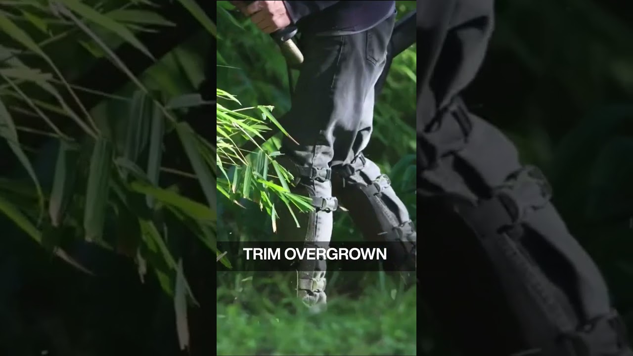 Enhancing Curb Appeal: Transforming Your Property's First Impression 🏡🌷 