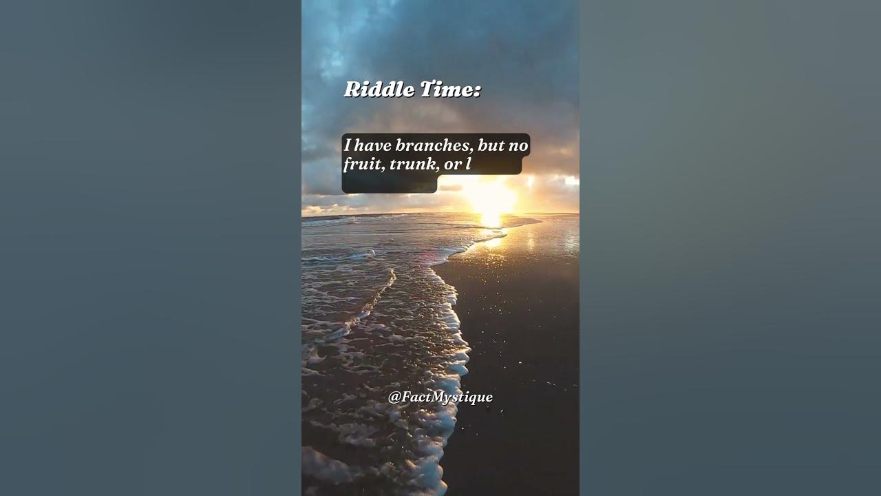 I have branches, but no fruit, trunk, or leaves. What am I? shorts