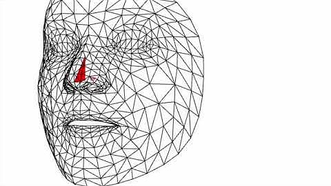 Mediapipe face mesh for web to determine head direction