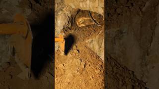 This Was Buried for Years… Look What We Found! 🤯#buriedtreasure #treasurehunt #hiddenfind #digging