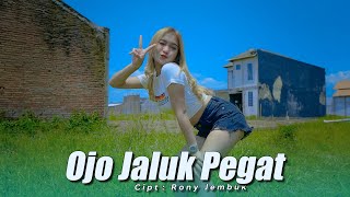 Dj Remix Jawa Campursari Divana Project