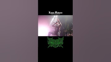 #shadowofintent #Deathcore #technicaldeathmetal #melodicdeathmetal #symphonicmetal #kanonmadness