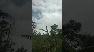 Ebiet G Ade | Berita Kepada Kawan | Kremat Wangi Jl Kawah Papandayan.