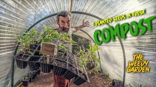 Planting Seeds Directly into Freshly Made Compost - Amazing Results!