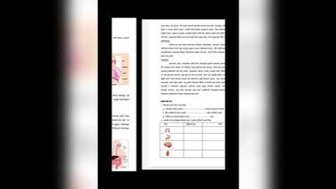 Bridge course 6th science activity  19 and 20