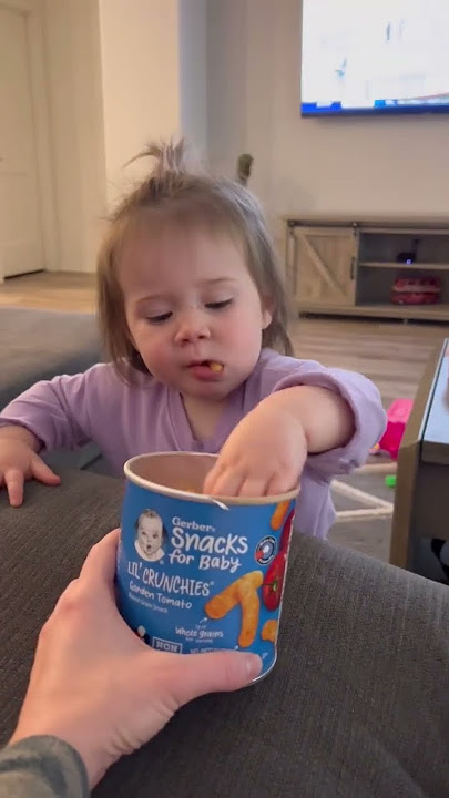 Toddler snack ideas, favorite toddler snacks #babysnacks #toddlersnacks #gerber