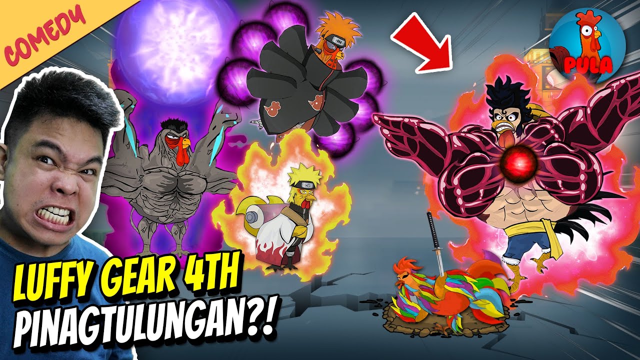 120% Taguro, Sarimanok, Hokage Pinagtulungan ang Gear 4 Luffy! - MANOK NA PULA