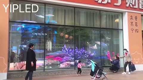 Retail window display - YIPLED