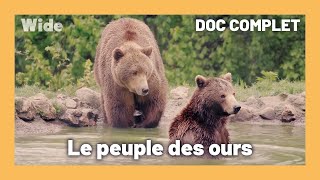 Roumanie : Un lien homme-ours exceptionnel | WIDE | DOC COMPLET