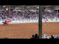 9-3-22 Ocala rodeo