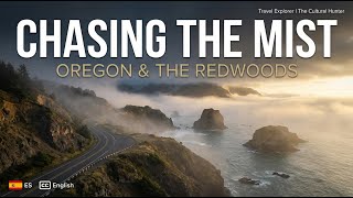 Chasing the Mist: A Solo Journey Through Oregon & The Redwoods