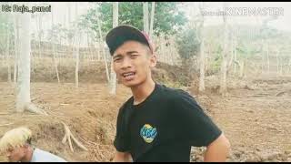 Download Lagu Raja panci pantun !!!😁 MP3