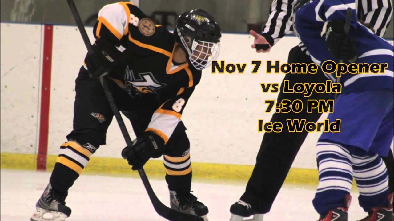 Towson University Women's Ice Hockey 20152016 YouTube