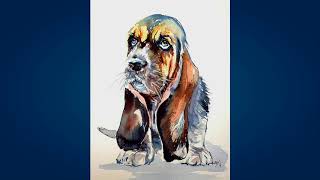 Бассет хаунд (Basset Hound) Бассет хаунд (Basset Hound)