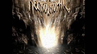 Necrotrophic - Necrotrophic
