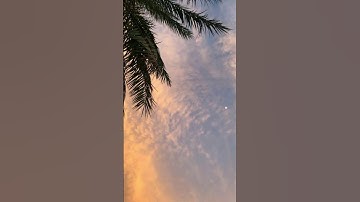 قل اللهم مالك الملك🌹/قرآن كريم 🌹