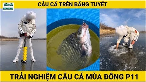Trải Nghiệm Câu Cá Mùa Đông | P11 | Câu Cá Trên Băng | CÂU CÁ REVIEW #câucá #câucátrênbăng