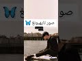 خلفيات تاي ستان
