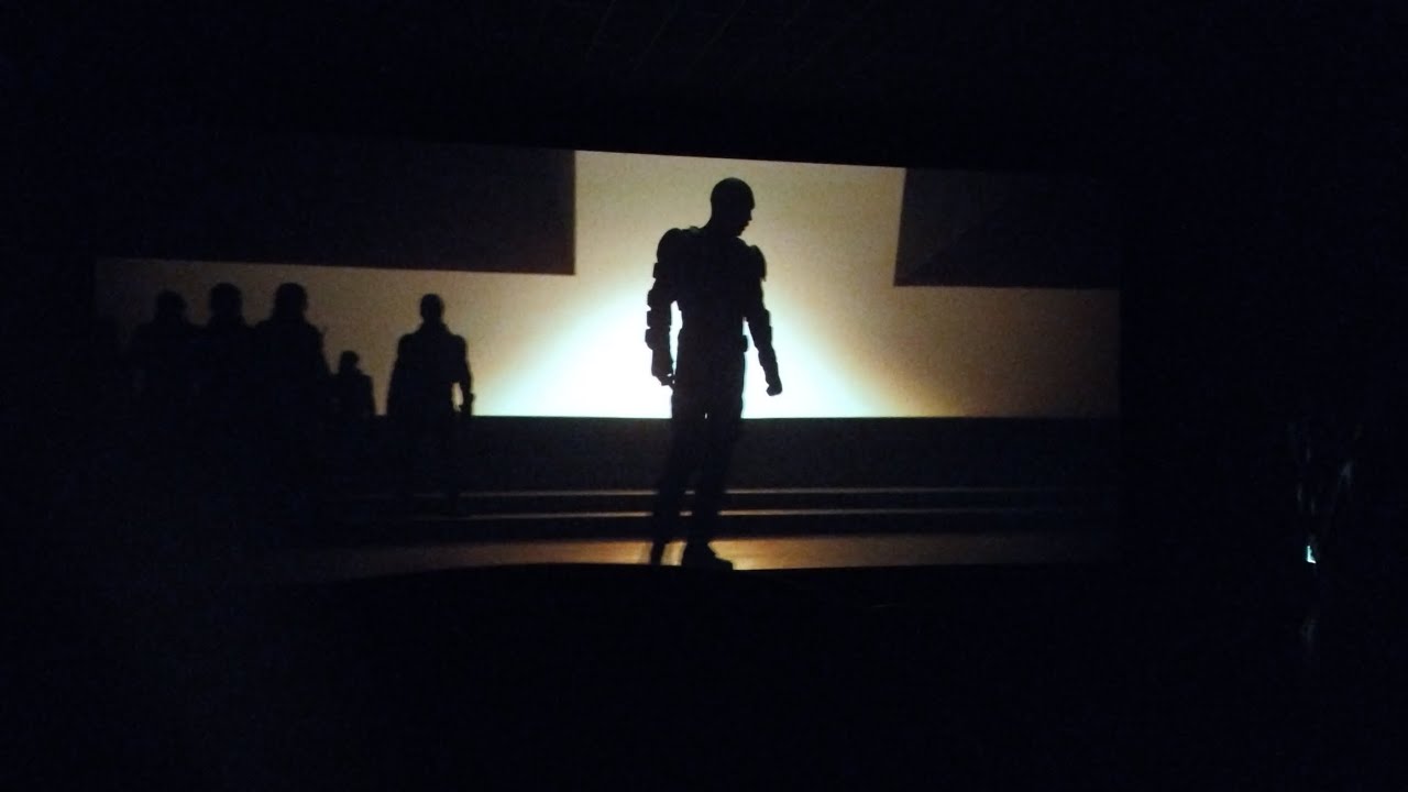 Birds 🐦🐤🐓🦜of feather flock together