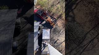 “Tree Work from the Top” 🧐