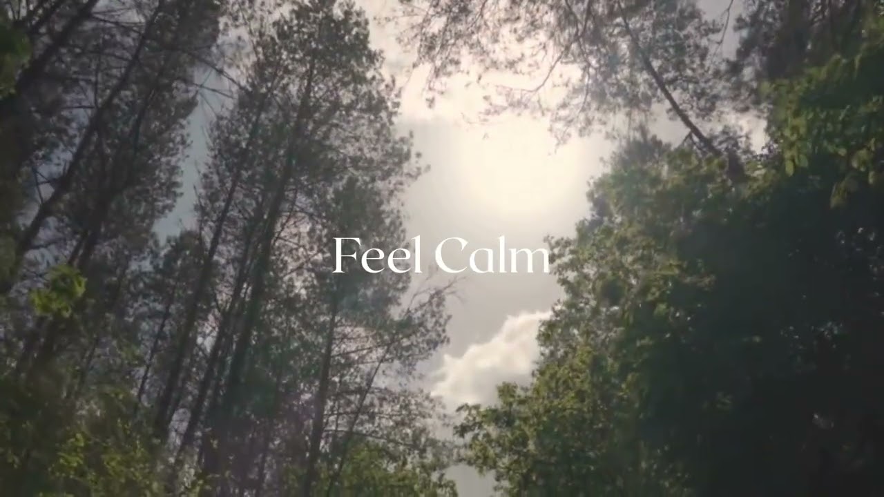 Roadside Serenity – Calm Drive Music for Peaceful Journeys 🚗🌙