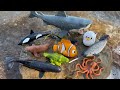 Megans world sea animal toys