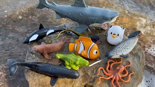 Megan's World Sea Animal Toys