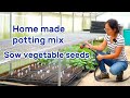 Ep 8 use home made potting mix to start vegetable seeds