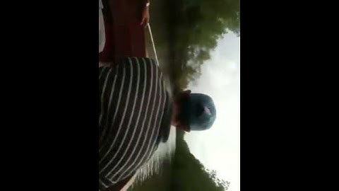 Rừng đước- Cà Mau, Việt Nam